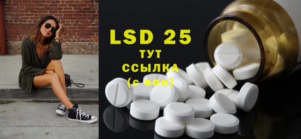 стаф Тосно