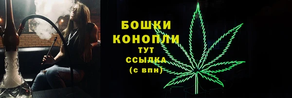 гашик Тотьма