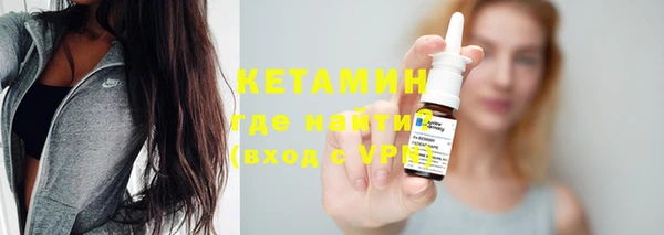 стаф Тосно