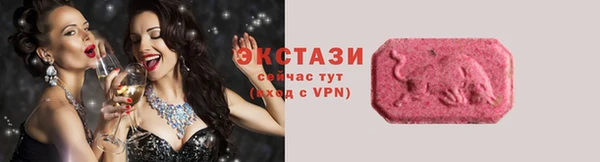 стаф Тосно