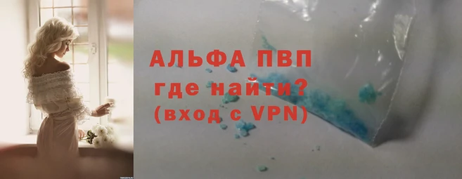 стаф Тосно