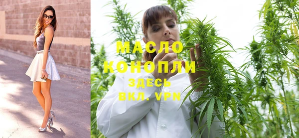 гидропоника Трёхгорный