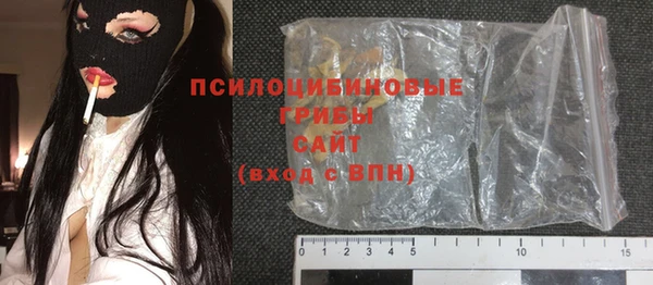 прущий лед Данков