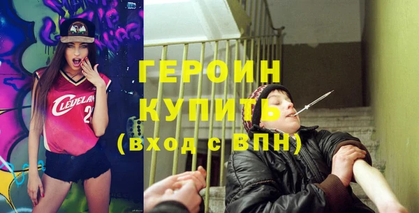 стаф Тосно