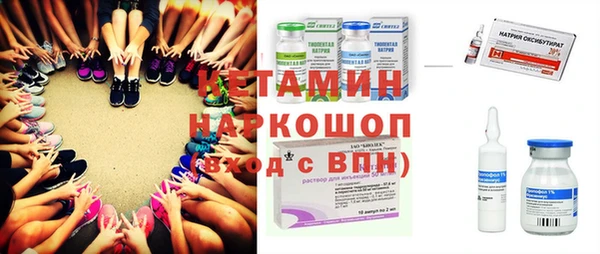 дмт Дубна