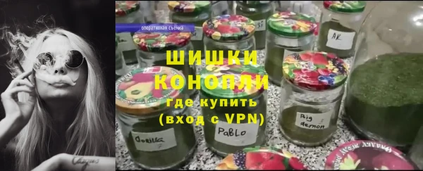 дмт Дубна