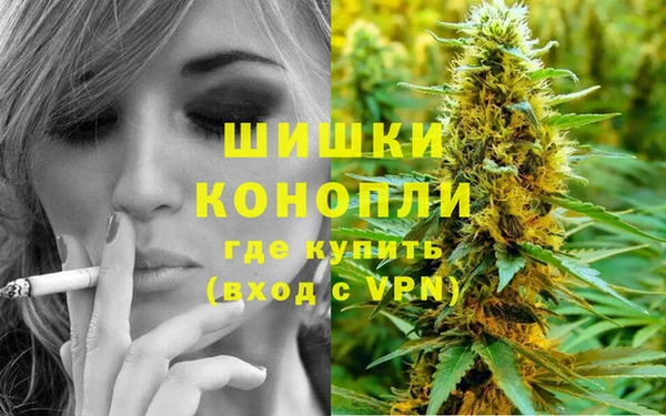 дмт Дубна