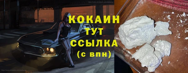 стаф Тосно