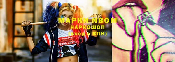 стаф Тосно