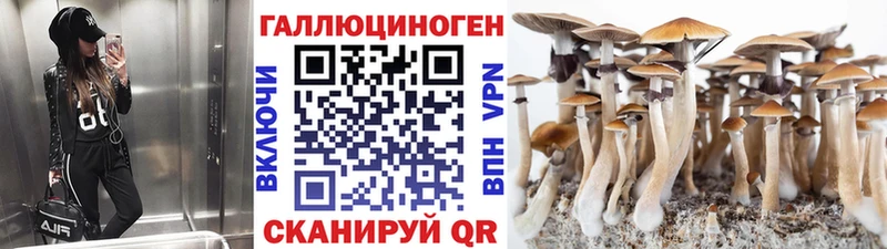 Галлюциногенные грибы ЛСД  Заозёрный 